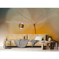 Ein Fototapet von einem Tropfen an einem Löwenzahn am Morgen in einem Wohnzimmer mit Vliesbehang.