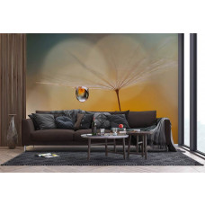 Ein Fototapet von einem Tropfen an einem Löwenzahn am Morgen in einem Wohnzimmer mit Vliesbehang.