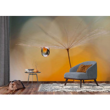 Ein Fototapet von einem Tropfen an einem Löwenzahn am Morgen in einem Wohnzimmer.