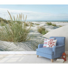 Fototapete „Dünen an der Küste“ in einem Büro mit natürlichen Dünenlandschaften und offenem Horizont in einem Büro.