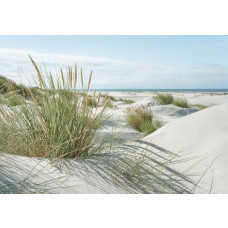 Fototapete mit weißen Sanddünen, Strandhafer und blauem Himmel an der Küste.