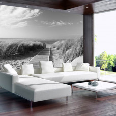 Eine Fototapete mit einer schwarz-weißen Strandlandschaft mit Dünen in Vliestapete.