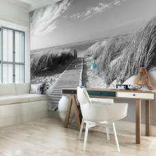 Eine Fototapete mit Dünen und Strand in schwarz-weiß, geeignet für ein Büro.