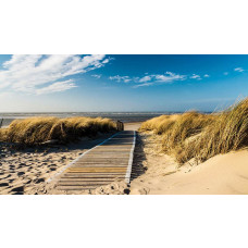 Fototapete mit Dünen am Strand, mit einem weiten Blick auf das Meer und natürliche Elemente.