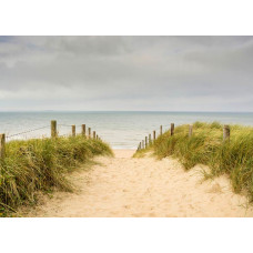 Fototapete von den Dünen an der Nordsee mit einem idyllischen Blick auf sanfte Sanddünen und wehendes Strandhafergras unter einem klaren blauen Himmel.