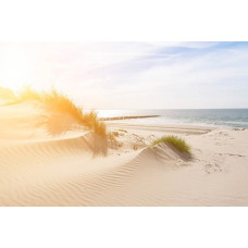 Fototapete von Dünen, die sanft zum Strand führen, mit einem klaren blauen Himmel und ruhigem Meer.