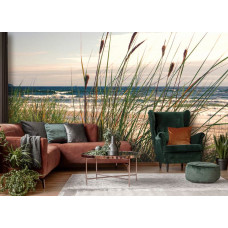 Fototapete mit Dünen, Meer, Strand und Küstengras mit Vliestapete im Wohnzimmer und Schlafzimmer.