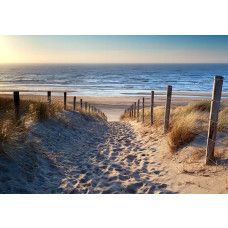 Fototapete mit einem Dünenpfad, der zwischen Sandhügeln in Richtung Meer mit Strandgras und Holzpfählen führt.