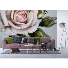 Eine elegante Fototapete mit einer Nahaufnahme einer Rose, mit zarten Details, die eine romantische und heitere Atmosphäre in einem Wohnzimmer bietet.