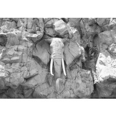 Elefant in Felsen geschnitzt, Fototapete in Grautönen mit einem künstlerischen und natürlichen Look.