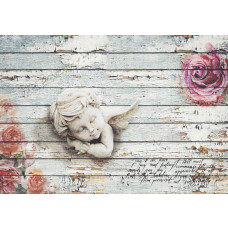 Fototapete eines Engels mit Rosen auf Holzregalen, spirituell und klassisch.