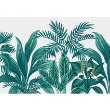 Exotische Pflanzen in einer tropischen Dschungelumgebung, Fototapete, die die Natur mit frischen Grüntönen zum Leben erweckt.