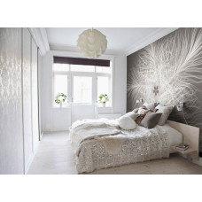 Eine abstrakte Fototapete mit einem Federster-Muster, das einen faszinierenden künstlerischen Look verleiht. Perfekt für ein Schlafzimmer, um eine einzigartige und friedliche Atmosphäre zu schaffen.