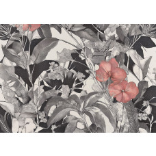 Fotobehang met fijne botanische kunst en roze bloemen op zwart-witte achtergrond.