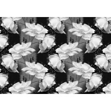 Abstraktes Blumenmuster in Schwarz und Weiß, dargestellt auf einer modernen und künstlerischen Fototapete.