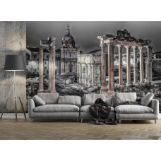 Eine Schwarz-Weiß-Fototapete des Forum Romanum in Rom, Italien, für das Wohnzimmer.