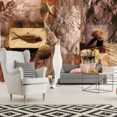 Eine Fototapete mit Muscheln und Fossilien in einem Wohnzimmer.