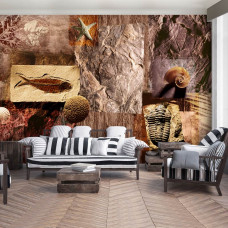 Eine Fototapete mit Fossilien und Muscheln in einem prähistorischen Design mit visuellen Details.