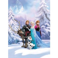 Frozen Fototapete mit einer Winterlandschaft, ideal für ein cooles Kinderzimmer.