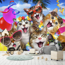 Fototapete Lustige Katzen | Lustige Tiere