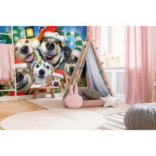 Eine Fototapete von Weihnachtshunden in einem fröhlichen Selfie-Arrangement für das Spielzimmer.