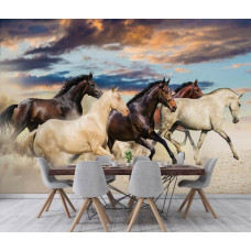 Fototapete mit galoppierenden Pferden im Esszimmer oder in der Küche.