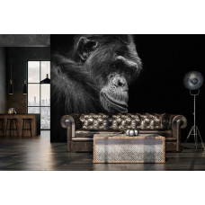 Eine Fototapete mit einem Gorilla im Dschungel für den Wohnraum.