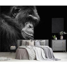 Eine Fototapete mit einem Gorilla im Dschungel für das Schlafzimmer.