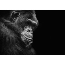 Universum und Planeten auf einer Space-Fototapete, beeindruckend und futuristisch.