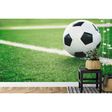 Eine Fototapete mit einer ruhigen Wiesenszene während eines Fußballabenteuers in einem Kinderzimmer.