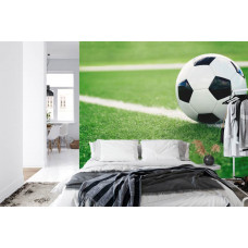 Eine Fototapete mit einer ruhigen Wiesenszene während eines Fußballabenteuers in einem Schlafzimmer.
