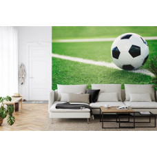 Eine Fototapete mit einer ruhigen Wiesenszene während eines Fußballabenteuers in einem Wohnzimmer.