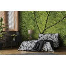 Fototapete grünes Blatt in natürlicher Umgebung im Wohn- und Schlafzimmer.