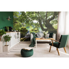 Eine Fototapete mit einer ruhigen Waldlandschaft mit Wasser.