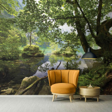 Eine Fototapete mit einem grünen Wald mit einem See und Bäumen, geeignet für das Wohnzimmer.