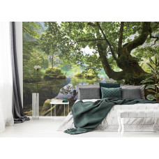 Eine Fototapete mit einer friedlichen Waldlandschaft mit Wasser und Bäumen, geeignet für das Schlafzimmer.