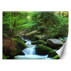 Fotobehang met groen boslandschap en weelderige bomen