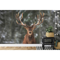 Eine Fototapete, die einen Hirsch in einer Waldumgebung zeigt, angezeigt in einem Wohnzimmer.