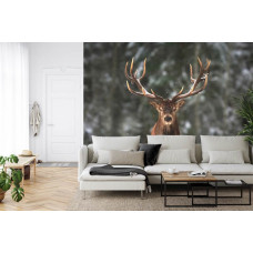 Eine Fototapete, die eine Waldlandschaft und einen großen Hirsch mit Geweih zeigt, angezeigt in einem Schlafzimmer und Wohnzimmer.