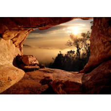 Blick auf einen nebligen Wald aus einer Höhle, mit 3D-Effekten für Tiefe und Atmosphäre.
