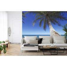 Eine Fototapete mit einer majestätischen Palme am Rande eines Strandes in einem Wohnzimmer.