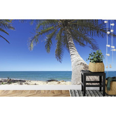 Eine Fototapete mit einer großen Palme an einem tropischen Strand, ideal für eine Küche.