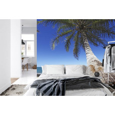 Eine Fototapete mit einer exotischen Strandszene mit einer großen Palme, perfekt für ein Schlafzimmer.