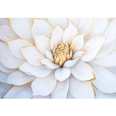 Fototapete mit einer großen weißen Blume und luxuriösen Golddetails.