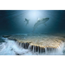 Haie schwimmen um einen Wasserfall in einer lebhaften Meereslandschaft, dargestellt auf dieser dramatischen Fototapete.