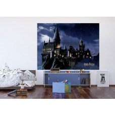 Ein Fototapete mit Harry Potters Hogwarts in der Nacht im Kinderzimmer, bei dem die Kombination aus der dunklen Nacht und dem mysteriösen Schloss eine verzaubernde und märchenhafte Ausstrahlung erzeugt.