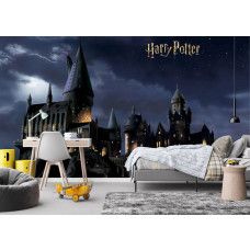 Eine Fototapete mit Harry Potters Hogwarts bei Nacht, auf Vliestapete im Kinderzimmer, wo die bezaubernden Lichter und der dunkle Himmel eine fantasievolle und abenteuerliche Atmosphäre schaffen.