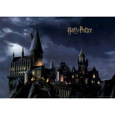 Ein Fototapete mit Harry Potters Hogwarts in der Nacht, bei dem das ikonische Schloss mysteriös unter einem Sternenhimmel leuchtet, umgeben von einer magischen Atmosphäre.