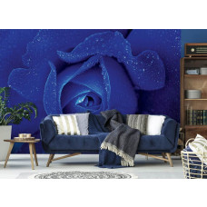 Eine Fototapete mit einer himmelblauen Rose für das Wohnzimmer.