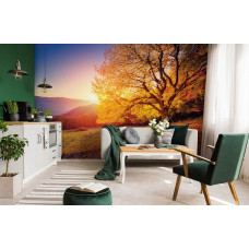 Eine Herbstlandschaft-Fototapete mit einem Baum und Blättern für das Wohnzimmer.